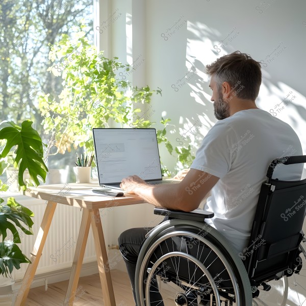 A man sitting in a wheelchair in front of a desk with a laptop. He is wearing a white t-shirt and working in a bright room with several green plants near the window, creating a vibrant and natural atmosphere.