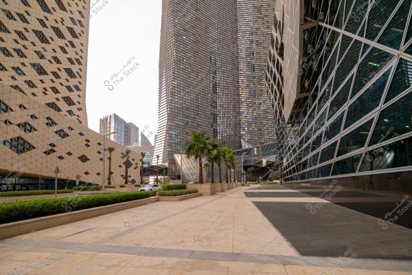 Image of a modern cityscape featuring tall buildings with contemporary architectural designs, some covered in reflective glass. Palm trees and planting beds line the walkway. The glass facade reflects light, providing a futuristic look to the area. A few cars are driving in the background.