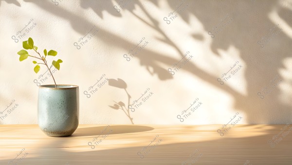 A light gray ceramic pot containing a plant branch with green leaves, placed on a wooden surface. Shadows are cast on the wall behind the pot, adding an artistic and tranquil touch to the scene.