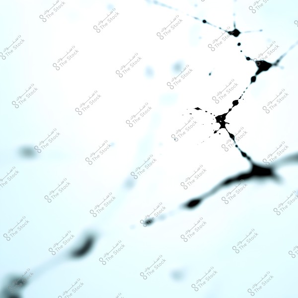 An image showing an abstract pattern of black ink splatters on a white background. The splatters are distributed in a way that resembles a natural web, giving an organic artistic appearance.