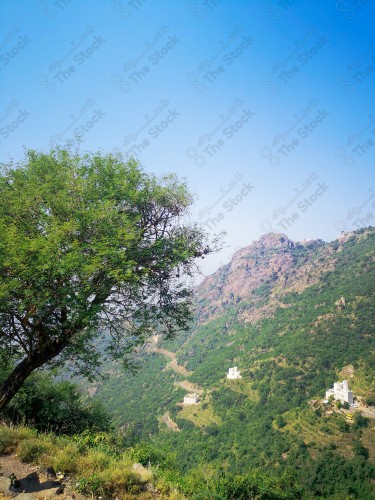 shot showing the houses and forests of the mountains of Fifa  Governorate, Jazanregion, southern Saudi Arabia. Trees and forests