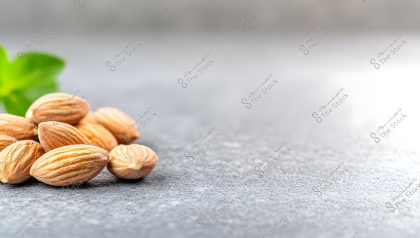 A group of shelled almonds placed on a gray surface. In the background, there is a blurred green plant.