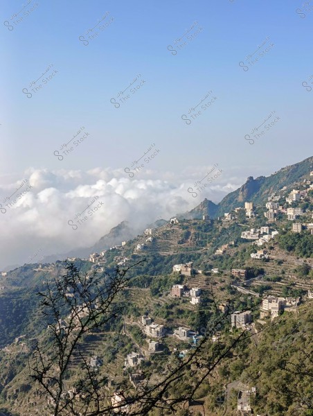 صورة تظهر منظرًا طبيعيًا لجبل خضري تحت سماء زرقاء صافية, مع سحب منخفضة تلامس قمم الجبال. تتوزع المنازل بشكل متناسق على مدرجات التلال, محاطة بالخضرة الكثيفة. تبرز الأغصان الجافة في المقدمة, مما يضيف عنصرًا من التنوع للمنظر الطبيعي.