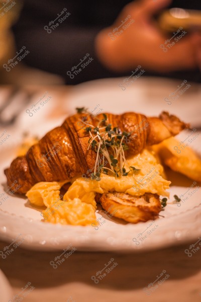 Croissant with scrambled eggs and microgreens on a white plate.