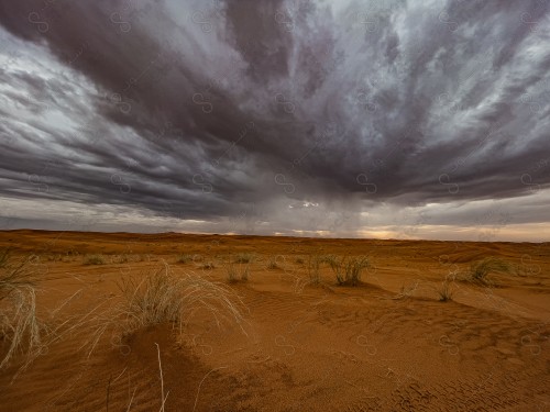 غيوم ممطرة بصحراء النفود