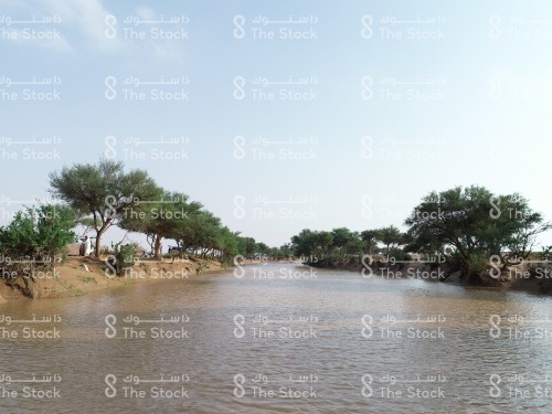 Water fills (Shuaib al-Tiri) and trees around it in Ramah Governorate, Kingdom of Saudi Arabia