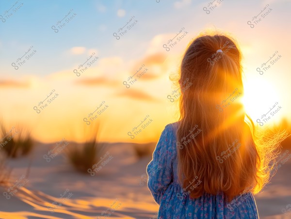 ** A young girl in a blue floral dress stands in a desert at sunset. The sun is shining on the horizon, casting its rays on the girl\'s long hair. The surrounding sand appears smooth, with scattered plants visible in the area.\r\n\r\n**