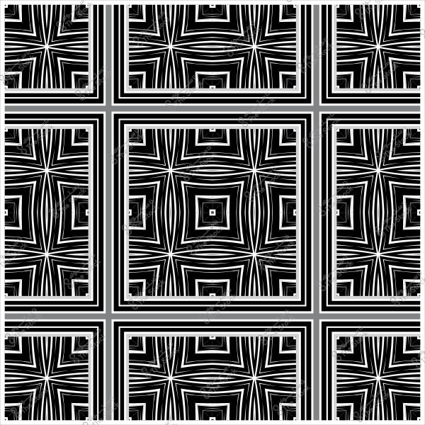Geometric pattern with black and white repeating lines and squares.