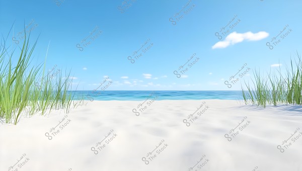 A natural landscape image of a white sandy beach extending towards a calm blue sea. The sky is clear and blue with a few scattered white clouds. Tall green grass is growing on the sides of the beach.
