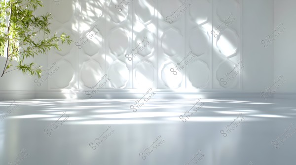 ديكور داخلي لمكان مضاء بشكل طبيعي, يظهر جدار أبيض مزخرف بتصميم هندسي وعناصر بارزة. تبعث أشعة الشمس عبر النافذة ظلالًا نابضة بالحياة على الأرضية. يوجد نبات أخضر على اليسار, يضفي لمسة طبيعية على المساحة الهادئة والمتناسقة.