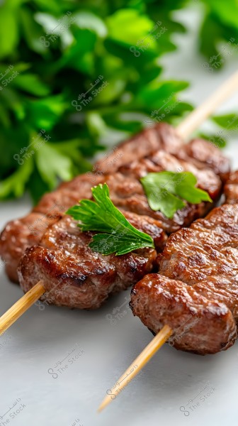 An image showing pieces of grilled meat on wooden skewers, garnished with green parsley leaves. The grilled pieces have a rich brown color and look appetizing. In the background, fresh parsley leaves are visible.