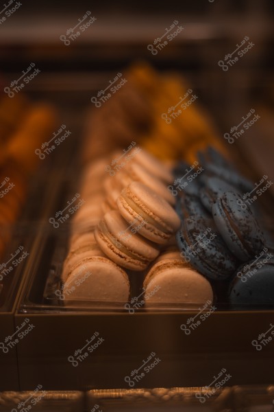 A selection of colorful macarons arranged in a glass display case.