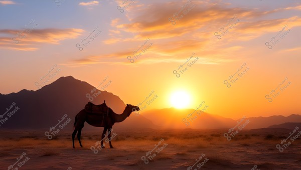 An image of a camel standing in a vast desert during sunset, with distant mountains on the horizon. The warm colors of the sky and the reddish glow from the sun create a serene and magical atmosphere, with a few light clouds scattered throughout.