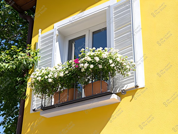 A window on a house with a yellow wall, decorated with white shutters and a flower box containing white and colorful flowers. Trees surround the window, adding a natural and aesthetic touch to the area.