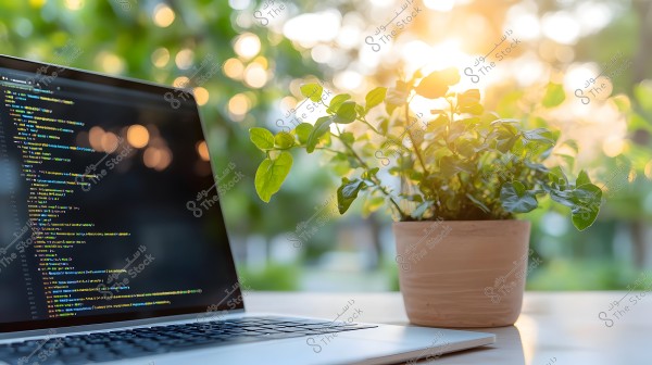 An image of an open laptop showing a screen displaying coding lines, next to a potted plant. The code appears in colorful lines on the laptop\'s screen. The background includes sunlight filtering through tree leaves, creating a natural and relaxed atmosphere.