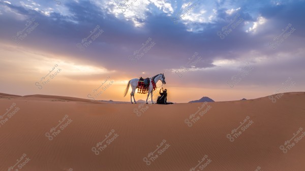 صورة لشخص يجلس على الرمال في الصحراء بجانب حصان أبيض مزخرف بتجهيزات ملونة, والخلفية تبرز غروب الشمس بألوان زاهية وغائمة في السماء. يبدو الشخص مرتديًا ملابس تقليدية داكنة ويضع يده على رأس الحصان بالقرب من الكثبان الرملية.