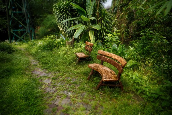 A shot of one of the bird gardens surrounded by trees and green plants, artificial gardens.