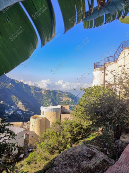 منظر طبيعي جميل يظهر المباني على سفوح الجبال الخضراء تحت السماء الزرقاء الساطعة, مع وجود غطاء من أوراق الشجر في المقدمة.