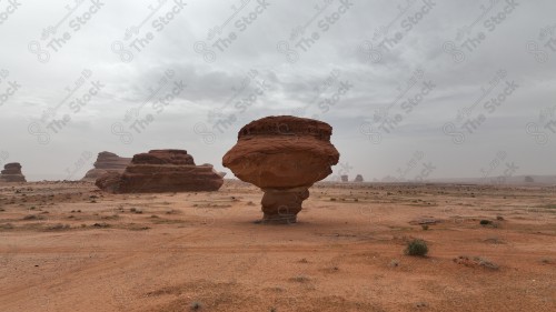 السماء الغائمة مع مجموعة من النباتات حول جبل في وسط الصحراء،