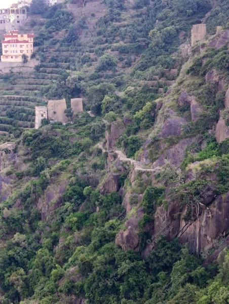 صورة تظهر تضاريس جبلية من محافظة فيفاء بمنطقة جازان جنوب المملكة العربية السعودية مغطاة بالنباتات الخضراء, مع مدرجات زراعية تمتد على طول المنحدرات. يوجد على الجبل عدة مبانٍ صغيرة, ومبنى أكبر يظهر في الجزء العلوي الأيسر من الصورة. الجبل مغطى بأشجار وخضرة متناثرة توحي بطبيعة خصبة وغنية.