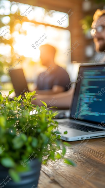 The image focuses on a green plant placed on a wooden desk in a modern, bright office environment. In the background, a laptop screen displays code, and two people are working on their computers in the bright sunlight streaming through the window.