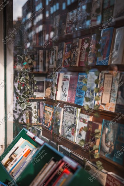 A bookstore window display with a variety of books on shelves and decorative plants.