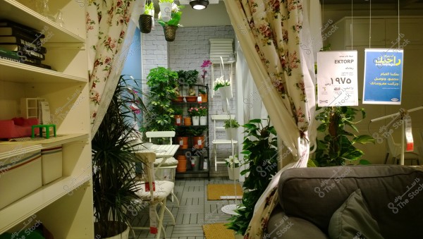 The image depicts a corner of a living room adorned with numerous green plants and flowers. On the right, there is a grey sofa with a cushion. In the middle, there is a white table and chairs surrounded by plants, some hanging from above. Shelves contain green books, and on the right, a floral curtain is elegantly draped. Two signs in Arabic display product information, one blue and the other white.