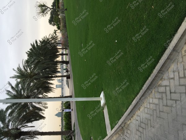 The image shows a landscape of a park with wide green lawns bordered by tall palm trees. In the background, there is a view of modern buildings and a city skyline. The park is lined with paved walkways and has several public amenities like benches. The main colors in the image are the greens of the grass and palm trees, and the gray of the buildings under a cloudy sky.