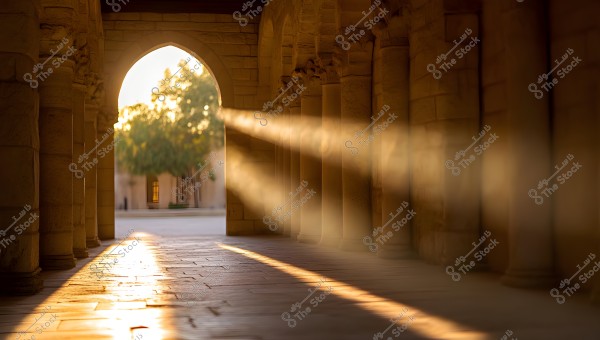 A scene depicting a stone archway in a corridor with columns, illuminated by golden sunlight streaming through the arch, creating long shadows on the stone floor. Trees in the background outside the arch suggest a courtyard or garden.
