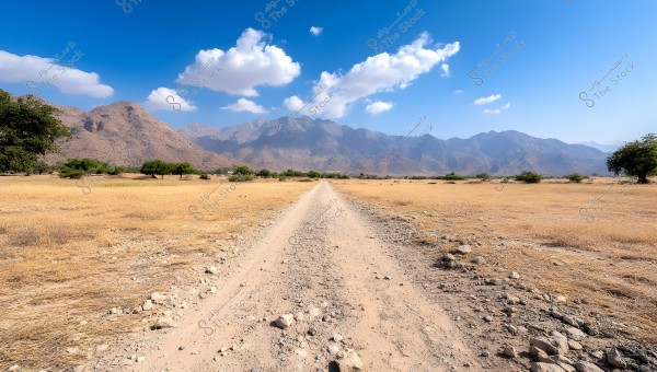 A landscape view of a dirt road stretching through a dry plain, surrounded by sparse vegetation and scattered trees. In the background, a rugged mountain range is visible under a clear blue sky with some white clouds.