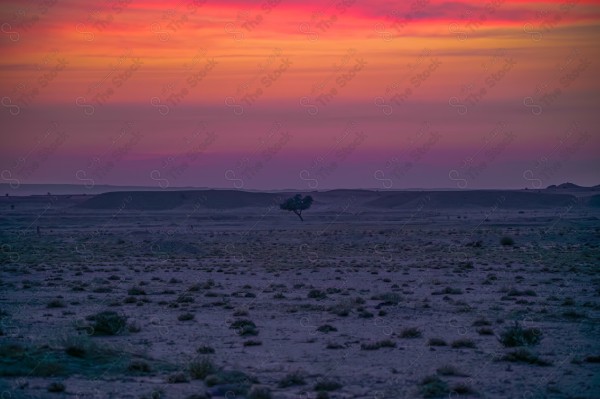 Sunset shot on the Ramah Highway near the King Abdul Aziz Camel Festival, desert and desert.