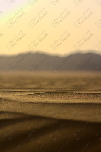 Close-up of sand dunes in the middle of the desert and the sky looks clear during the day, the Empty Quarter desert