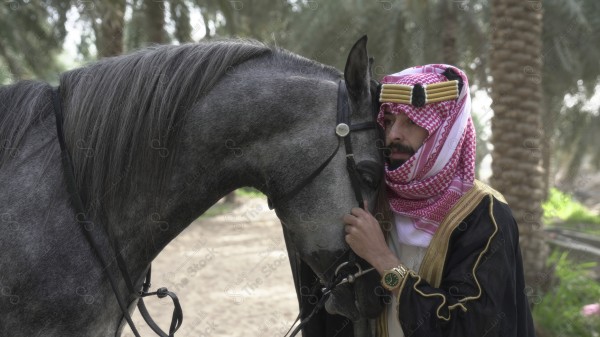 فارس سعودي يرتدي الزي السعودي التقليدي ممسك بخيل عربي اصيل في احد الاسطبلات، تعلم الفروسيه، ترويض الخيل، الخيل العربي الأصيل ، هواية ركوب الخيل.