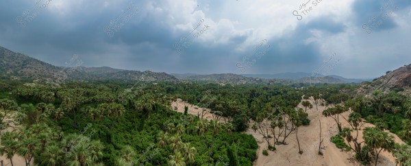 Panoramic image showing a valley surrounded by dense palm trees and greenery, with hills and rocks in the background. The sky is cloudy, indicating overcast weather.