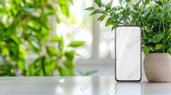 A smartphone with a blank screen placed on a white wooden table with a green plant in a pot beside it. The background is blurred with vibrant green plants and leaves.