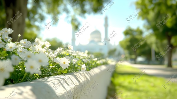 An image showing blooming white flowers along the roadside in focus. In the background, there is a blurred view of a mosque with a white dome and minarets, surrounded by greenery and trees.