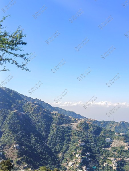 من محافظة فيفاء بمنطقة جازان جنوب المملكة العربية السعودية