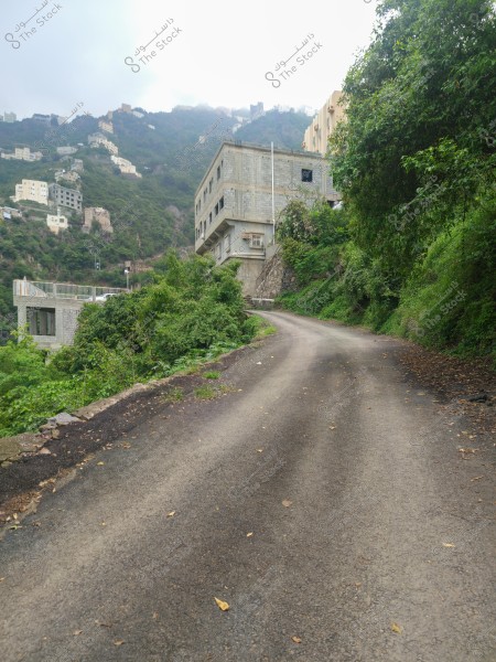 A narrow paved road winds through a lush mountainous area, flanked by simple concrete buildings. In the background, a mountain is covered with light clouds, with houses scattered along its green slopes. Dense trees surround the road, enhancing the natural beauty.