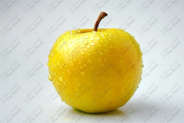 Apple in a studio photography