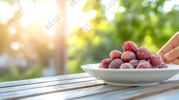An image of a white plate filled with ripe, wrinkled dates placed on a wooden table outdoors. A hand is reaching towards one of the dates. The background is natural and green with soft sunlight.
