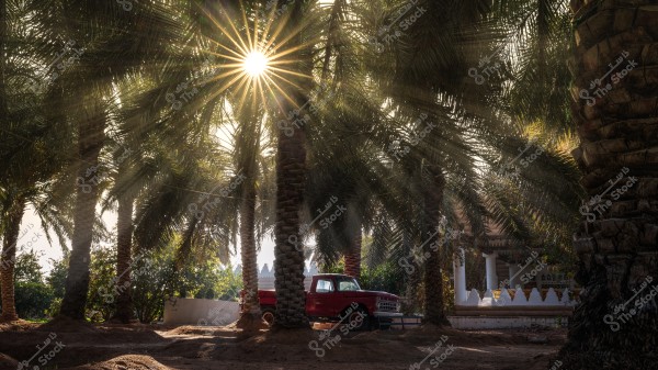 A natural scene with the sun shining through palm trees, casting golden rays between the trees. In the background, there is an old red truck parked next to a low white wall. Some greenery is visible along with part of a traditional building featuring white columns and decorative details.