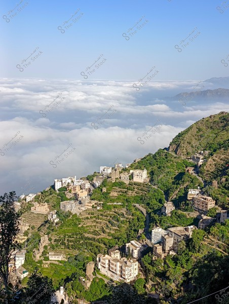 A scenic view of a mountainous village in Yemen, featuring traditional houses built on green terraces under clear skies, with mountains breaking through the low-lying clouds. The village is surrounded by lush green trees, and the horizon reveals a clear blue sky.