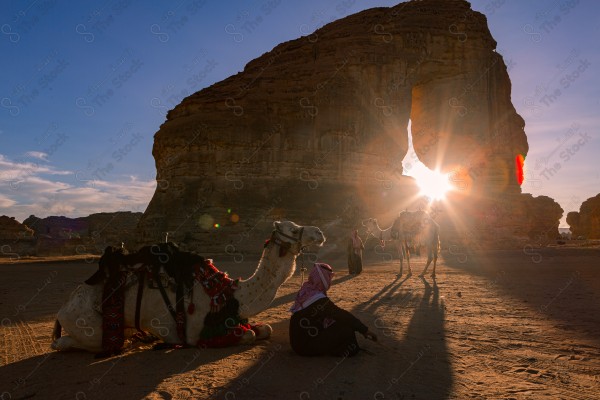 لقطة لرجل سعودي ممسك بالابل ومن خلفه يظهر جبل الفيل نهارا بالعلا، أماكن سياحية في السعودية