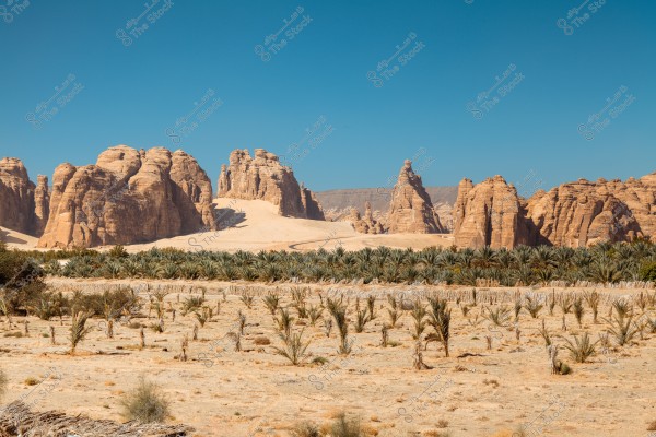 A landscape featuring large rocky mountains under a clear blue sky. In the foreground, there is a scene of desert plants and palm trees, adding a unique character to the area. The rocks stand out with their distinctive orange color against the golden sand background.