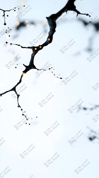 An artistic image featuring abstract details with black lines and small circular lights on a light white background. The lines flow imaginatively through the image, adding a sense of depth and creativity.