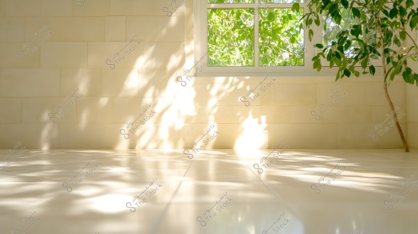 An indoor room illuminated by sunlight, with shadows of green tree leaves reflected through a large glass window. The walls are covered with light-colored stone panels, and the floor is made of smooth tiles that elegantly reflect light and shadows. The tree\'s branches extend into the room from the corner.