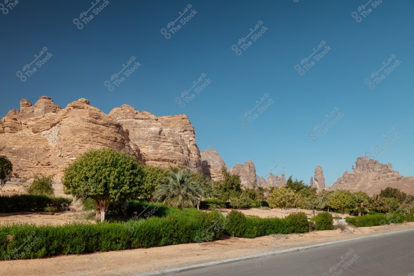 An image depicting a natural landscape with large rock formations under a clear blue sky. In the foreground, there are a variety of green trees and desert plants along the roadside.
