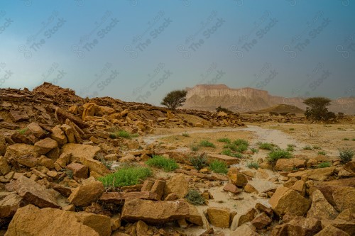 رحلة برية في نجد ، امطار و سيول جبال طويق