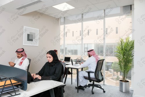 Saudi employees working in a glass-fronted office discussing work during the day