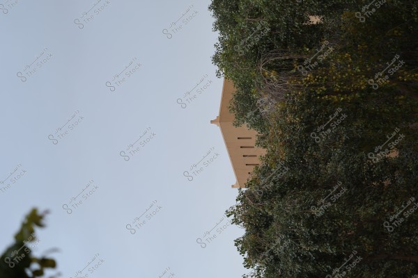 An image of a beige-colored mud building, where part of the roof is clearly visible behind a dense cluster of green trees. The sky is blue and empty in the background, emphasizing the architecture of the building and the surrounding vegetation.